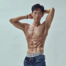 스테디 짐 이미지