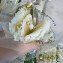 에머이베트남쌀국수 충장점 | 쌀국수 만드는법 CJ 베트남쌀국수 밀키트 내돈내산 솔직후기(에머이 쌀국수 밀키트 비교)