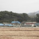 옛날꽁보리밥 이미지