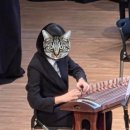 프리키니스 이미지