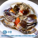 [광고]🦀꽃게 한입에 행복이 스르륵… 이 간장게장은 진짜 찐입니다! 연평도 암꽃게
