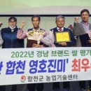 진미 이미지