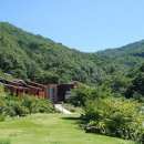 민주지산자연휴양림야영장 티스토리