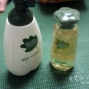 새싹 키즈요가 이미지