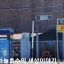 부산하우스열무국수 이미지