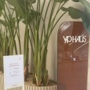 엘와이피 | 현대백화점 VIP 라운지 판교점 이용 후기 | 클럽YP YPHAUS 자스민 세이지 등급 기준