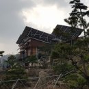 호접치자연팜 이미지