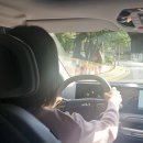 BYC마트 안양점 앞 | 안양 기아 드라이빙센터 예약하고 EV4 시승, 회생제동 꿀렁임 직접 경험기