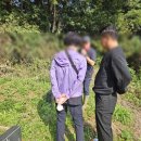 현대개발장묘()주