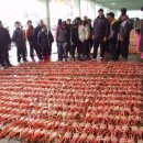 금진3리 이미지