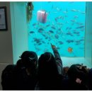 울릉초등병설유치원 이미지