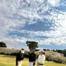 구르는 제주 | 엘리시안제주cc 라운딩 후기