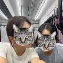 크로스핏크랙