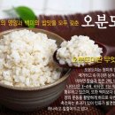 씨에스나무병원 이미지