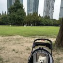 제로네간식타임 이미지