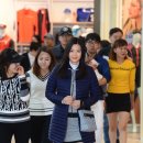 볼빅고양 이미지