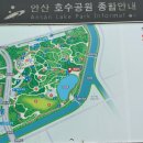 호수공원 축구장옆 이미지