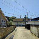 가람마을 4단지아파트 버스 정류장(하행) | 해파랑길 28코스 삼척 호산버스터미널-월천유원지-수로부인길-도화동산-석호항-부구삼거리 여행기록