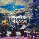 스카이 | 롯데월드 아쿠아리움+서울스카이 패키지 내돈내산 후기
