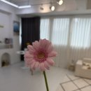 해인천 이미지