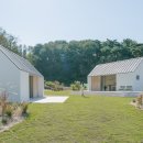 스테이 그로브 이미지