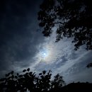 NR-20[지리산대로]-상-13 | [블랙야크 BAC 100대 명산] 지리산 천왕봉 최단코스 일출산행 🌄 - 중산리탐방안내소, 칼바위, 로타리...