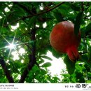 햇살가득 이미지