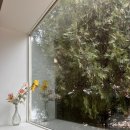 번화1로84번길L | [김포브런치맛집] 하우스플랜, 장기동 파스타 데이트하기 딱 좋은 곳 후기