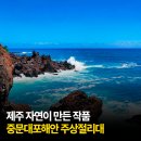 제주중문대포해안주상절리대 | 제주 서귀포 가볼만한곳 제주 자연이 만든 작품 제주 중문대포해안 주상절리대