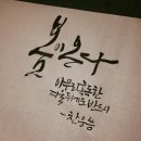 마음담은캘리그라피 이미지