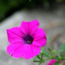 시산초등학교 이미지