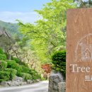 트리밸리 이미지