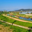 요천생태습지공원 애견놀이터 이미지