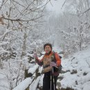 예산군.봉수산(483.9m)산행 서울오뚜기산악회 2024.02.25. 이미지