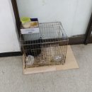 극동카센터 이미지