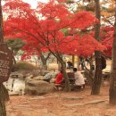 동물원 정문 이미지