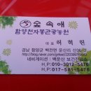 함양천자봉관광농원숲속애 이미지