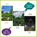 촌부의 단상-산골 부부의 삼시 세끼 이미지