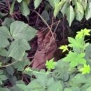 세상목장 이미지