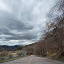 정산보건진료소1 | 거창 4월 가볼만한곳 임불마을 수양벚꽃 창포원 3월 31일 개화상황 총정리