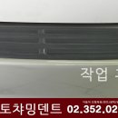 오토덴트칼라 이미지