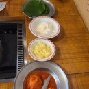 몽촌닭갈비 잠실본점