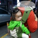 강릉에서 (대관령 솔내음 캠핑장)