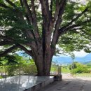 양지촌경로당 이미지