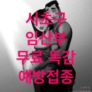 20주 서초구 임산부 인플루엔자 독감예방주사 후기 및 코로나 백신패스제도로 인한 임산부 이용제한시설