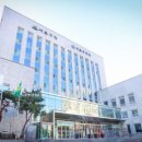 사랑할 개 이미지