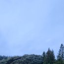 숲에오름협동조합 이미지