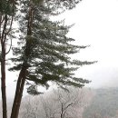 더로드 이미지