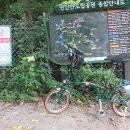 브롬핑 이미지