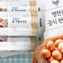 도니도니 이미지